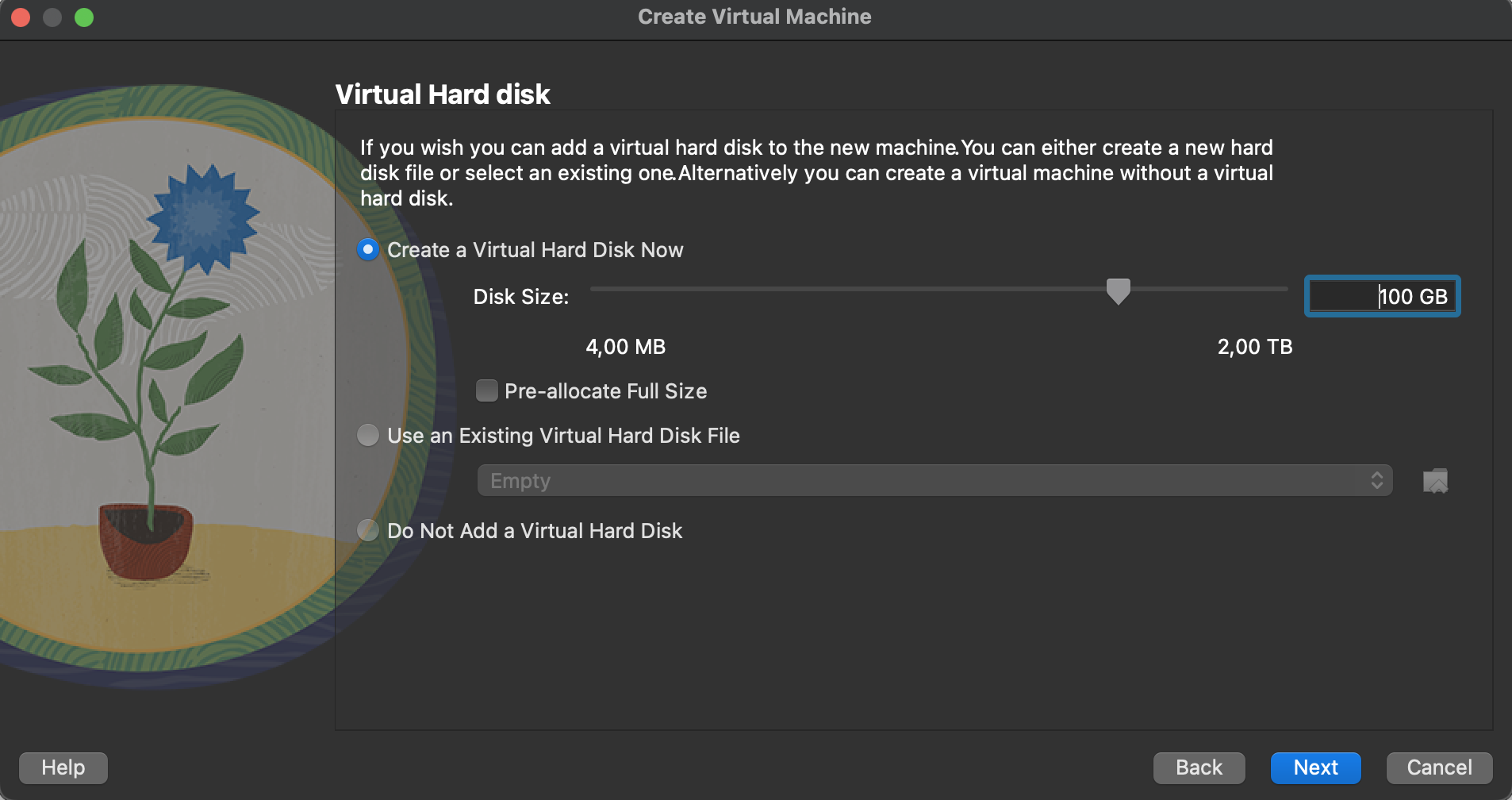 disk-size-vbox