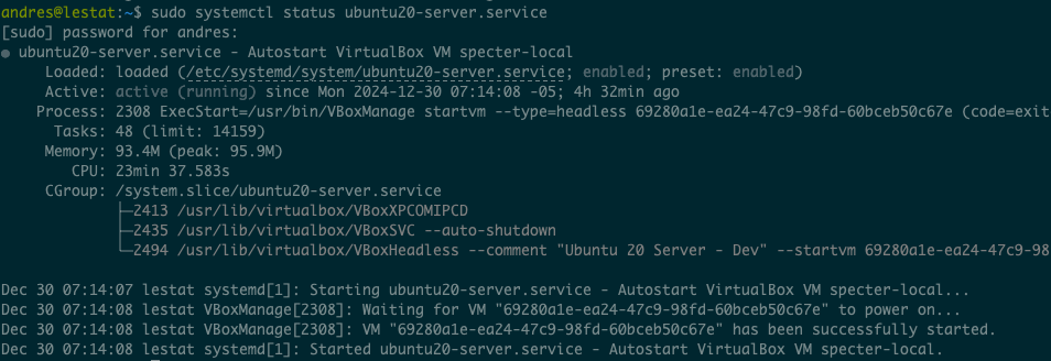 vm systemd status