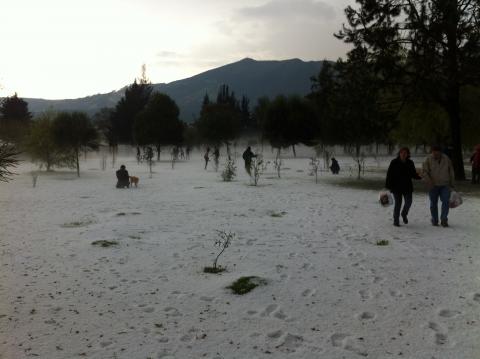 quito on ice